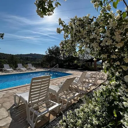 Antea Апартаменты *